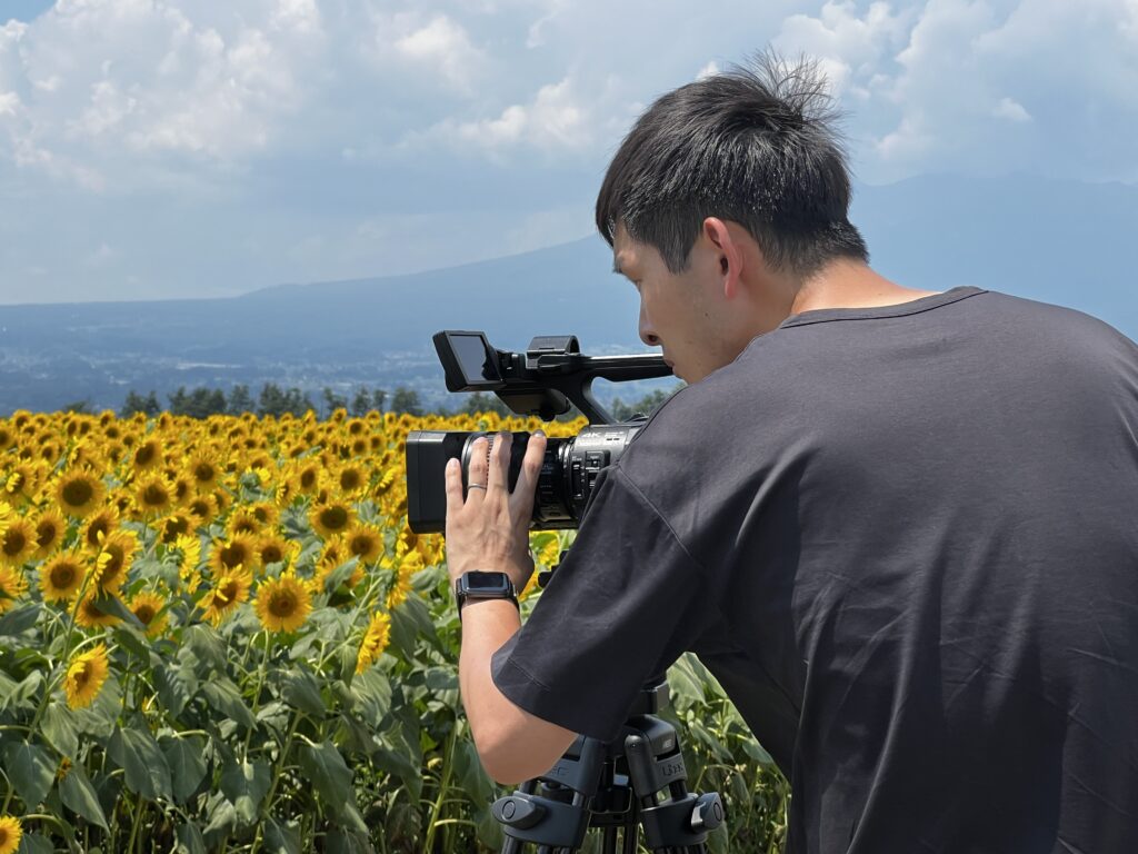 sunflower-shooting
